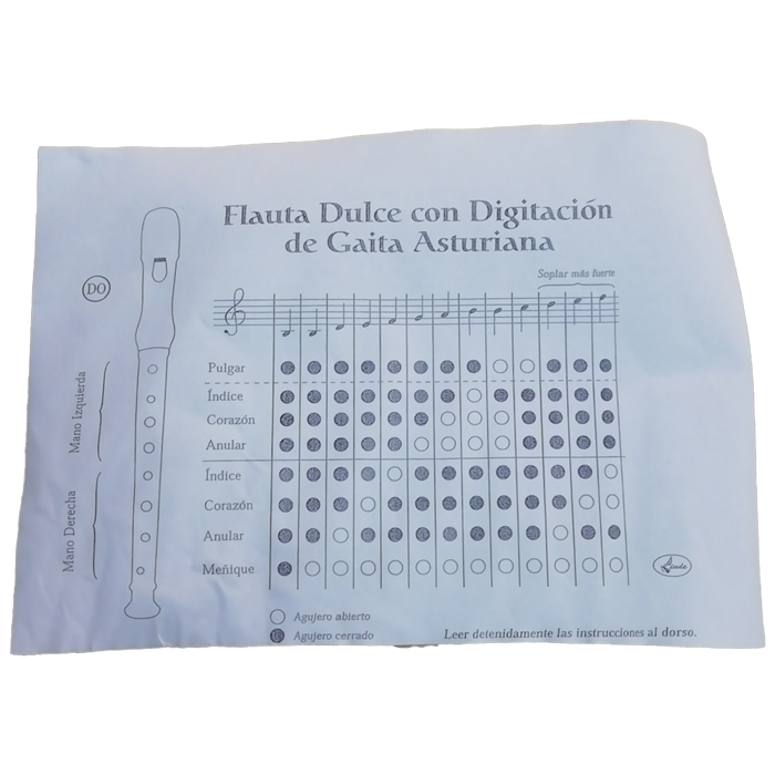 Imagen instrucciones para gaita